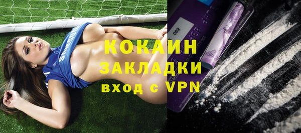 хмурый Алзамай