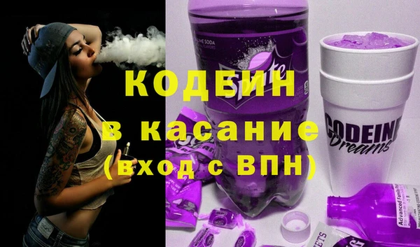 хмурый Алзамай