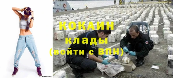 хмурый Алзамай